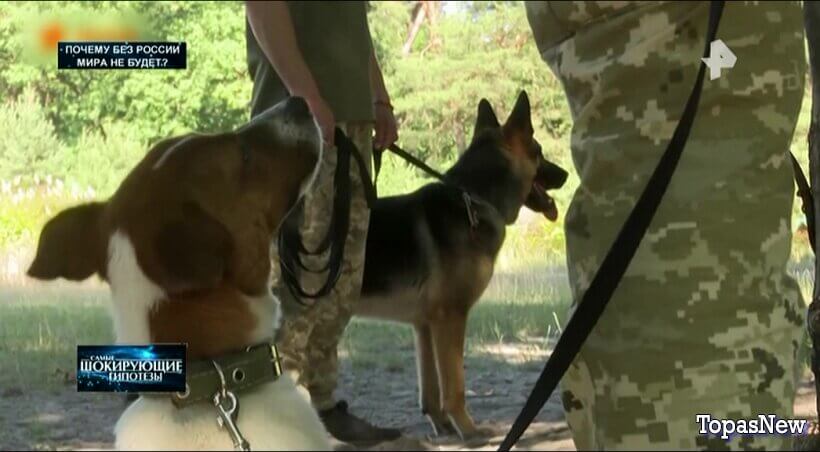 Почему без России мира не будет? Смотреть онлайн