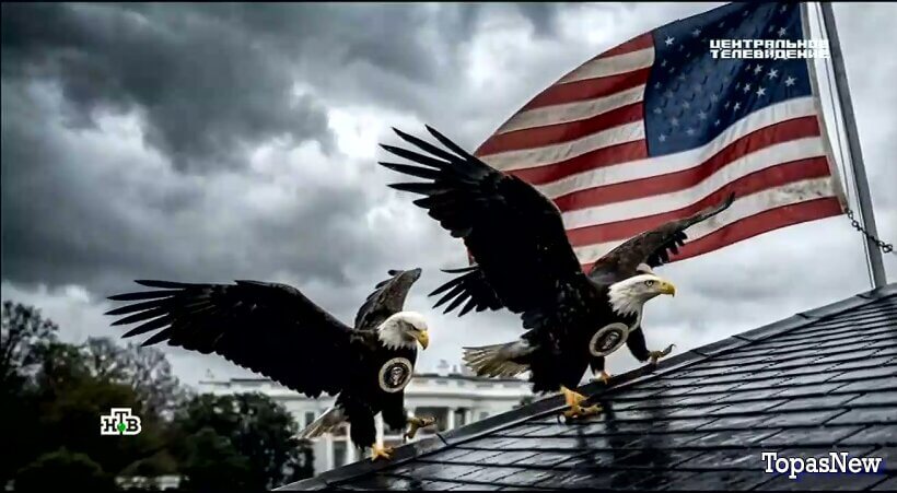 Центральное телевидение 17 января 2026 смотреть онлайн